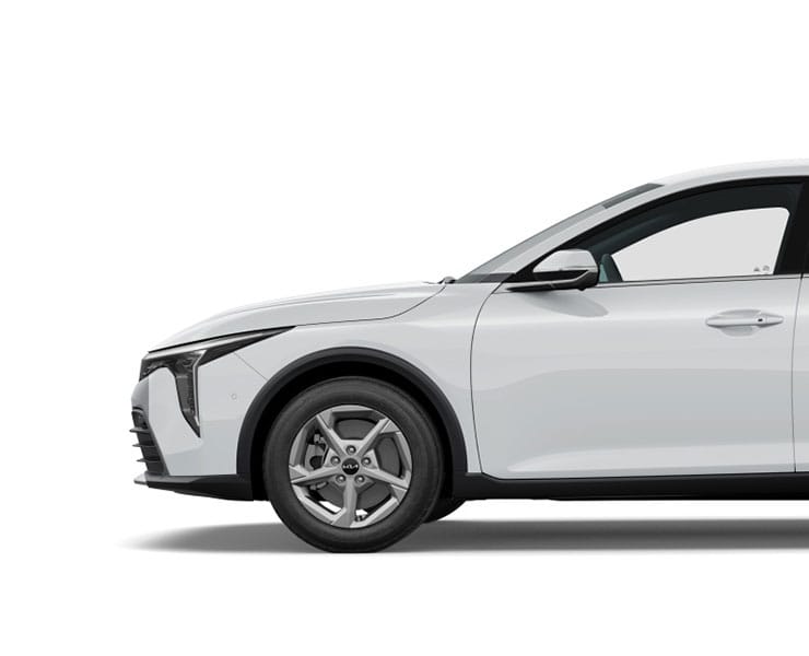 Kia Niro EV